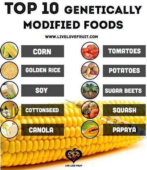 Top 10 Genetically Modified Foods Genetically Modified Food Gmo