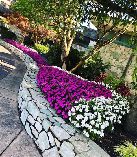 Enhance Your Garden Oasis Exquisite Flower Bed Designs To Transform Your Outdoor Haven