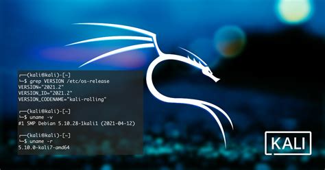 Caf Com Redes Kali Linux Release