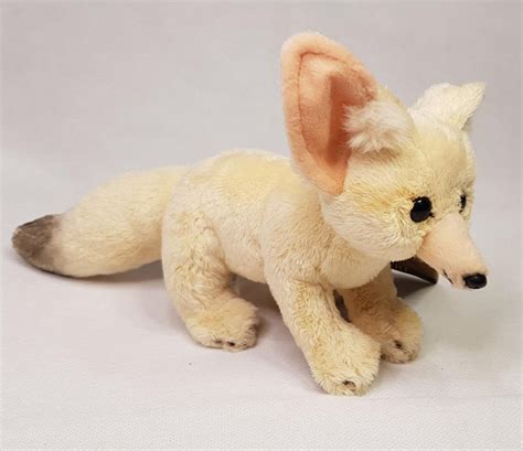 National Geographic Fennec Fox Baby