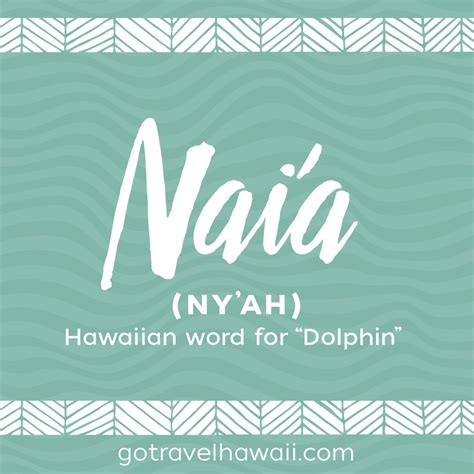 Naia Hawaiian Word Dolphin Hawaiian Words And Meanings Baby