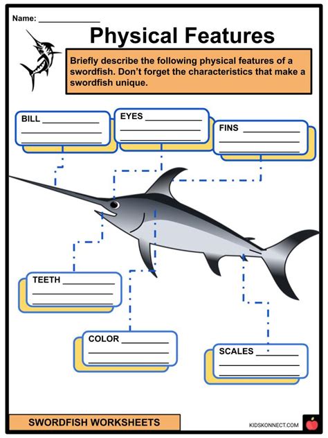 Swordfish Facts Worksheets And Physical Description For Kids