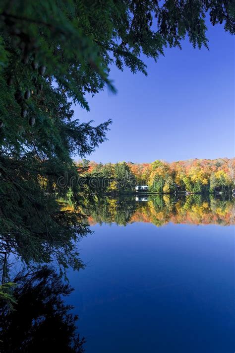 Fall Morning Stock Photo Image Of Cedars Dreams Lake 3328932