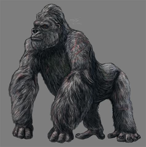 King Kong By Sketchy Raptor