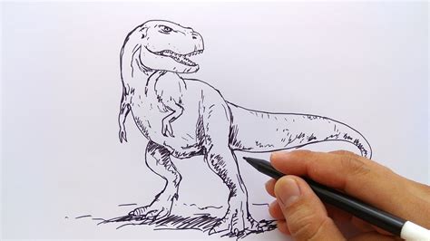 100 Contoh Gambar Sketsa Dinosaurus Terbaik Postsid