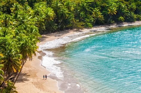 Why Now Is The Perfect Time To Plan A Trip To Dominica