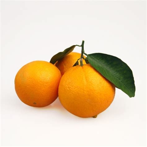ユニーク Orange 1 Kg シャフト