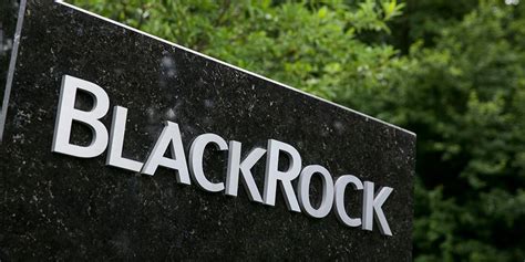 Blackrock Hires New Esg Head In Reshuffle Citywire