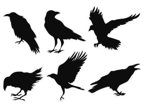 Premium Vector Set Of Ravens A Collection Of Black Crows Silhouette