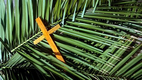 Everything You Need To Know About Palm Sunday What Do The Palms Represent