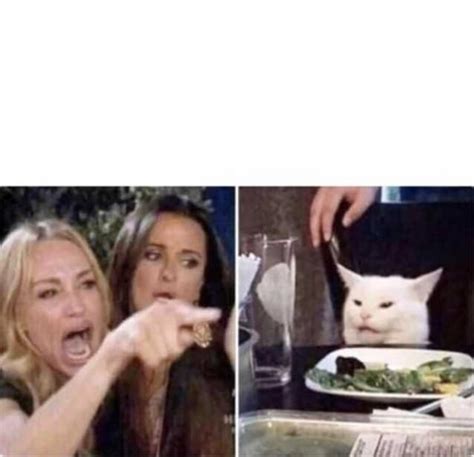 Woman Yelling At A Cat Meme Template Cat Memes Meme Template Cats