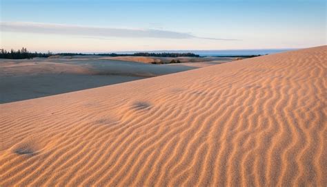 10 Fascinating And Amazing Facts About Dunes City Oregon United