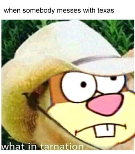Sandy Wot In Tarnation What In Tarnation Know Your Meme