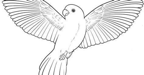 coloring pages  birds flying  pages  color pinterest bird applique letters