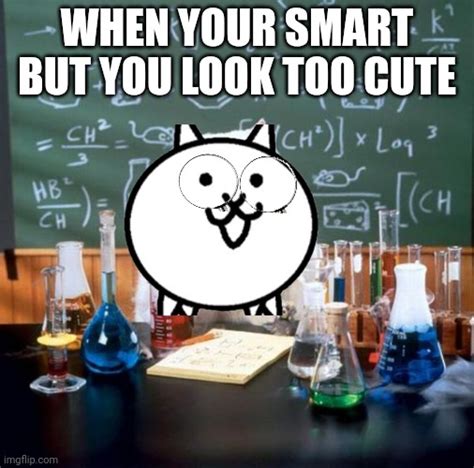 Chemistry Cat Meme Imgflip