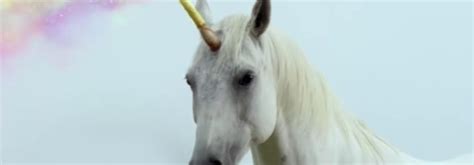 ¿el Unicornio Realmente Existe Significado Leyendas Y Otras Curiosidades