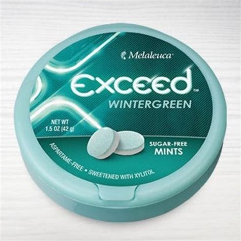 Exceed Sugar Free Mints Wintergreen 42g Shopee Malaysia