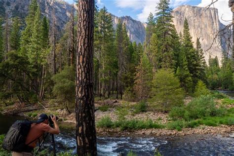 How To Photograph Yosemite Like Ansel Adams Travelomama
