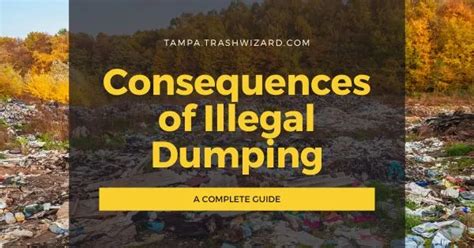 Whats The Penalty For Illegal Dumping A Complete Guide In 2023