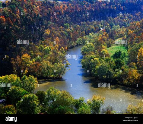 Kentucky Bluegrass Plant Hi Res Stock Photography And Images Alamy