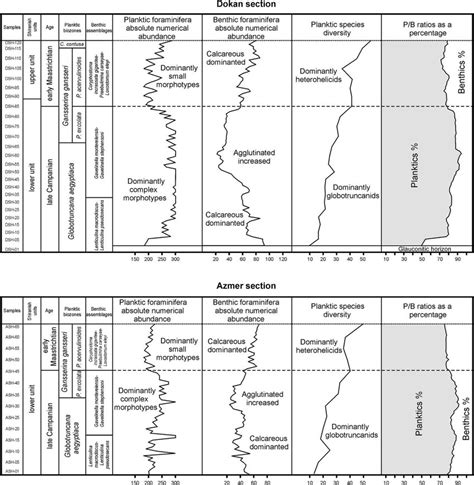 Trends Of Foraminiferal Numerical Abundance Planktic Foraminiferal