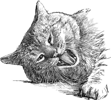 The best selection of royalty free cartoon cat side view vector art, graphics and stock illustrations. Snarling cat stock vector. Illustration of laying, teeth ...