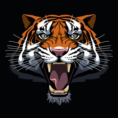 Tiger Vector Multicolor Tiger Illustration Tiger Art Tiger Artwork