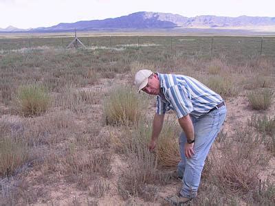 We did not find results for: Research trumps old rumors at desert site - The Salt Lake ...