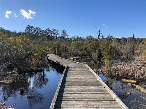 Goose Creek State Park 10 Things We Really Love About It