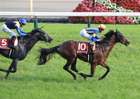 56668 12 3 4 5 6 7 8 9 10. 特集（2020年05月31日 東京12R 第134回目黒記念）- スポニチ競馬Web