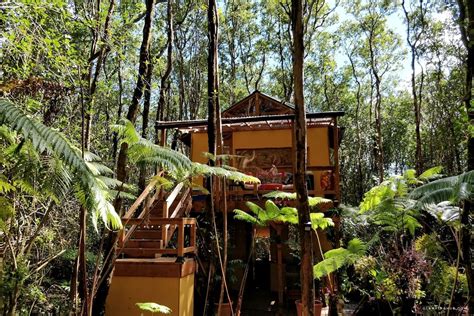 Off The Grid And Eco Friendly Tree House In The Rainforest In Volcano
