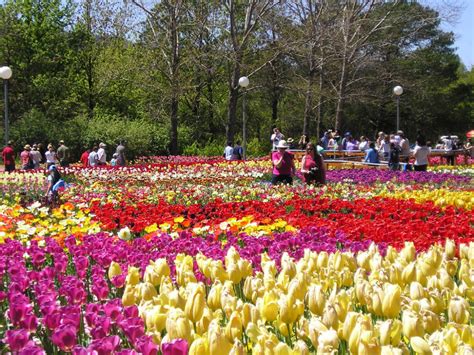 What Is Attractive In Dalat Flower Forest Focus Asia And Vietnam
