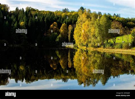 Lake Reflecting Green Forest Trees Lake In Auvergne France Stock