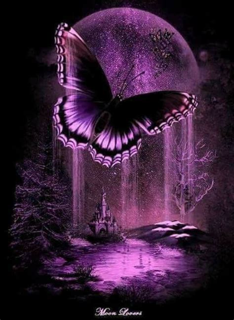 Purple Moon Purple Butterfly Butterfly Wallpaper Backgrounds