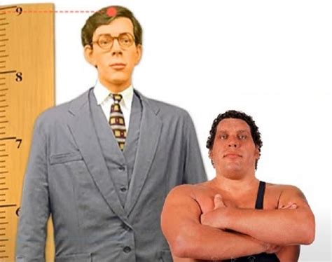 Famous Wrestler André The Giant 1946 1993 Compared To Robert Wadlow