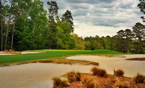 palmetto amateur kicks off july 6 at one of america s fabled courses — metro golf magazines