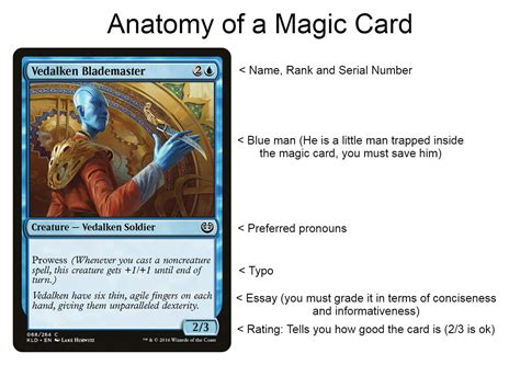 Anatomy Of A Magic Card Magicthecirclejerking