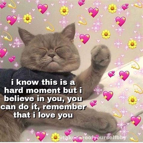 Jan 28, 2011 · hunter2 refers to a password an irc (internet relay chat) user by the name of azurediamond was tricked into revealing. wholesome memes in 2020 | Cute memes, Cute cat memes, Cute ...