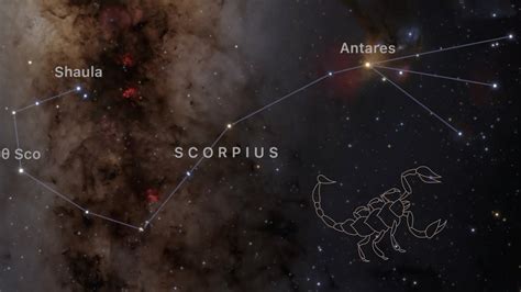 Scorpius Constellation Facts Scorpius Stars Dk Find Out Gambaran