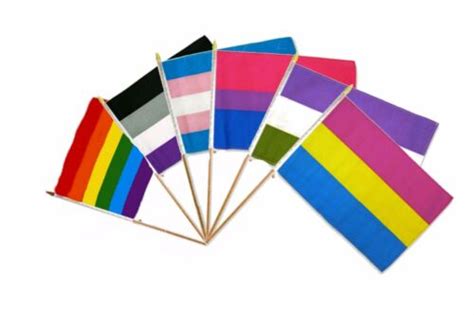 12x18 12x18 Wholesale Combo Gay Pride Trans Bi Gender Pan Rainbow 6