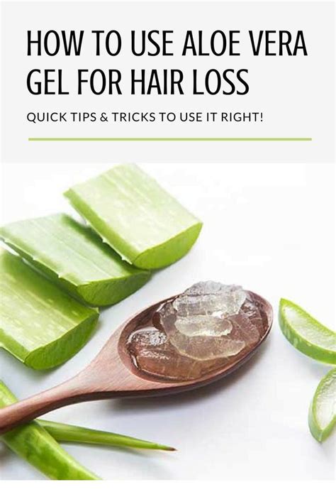 uses of aloe vera plant for hair