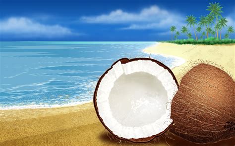 Coconut Beach Free Windows 7 Backgrounds High Quality Wallpapers