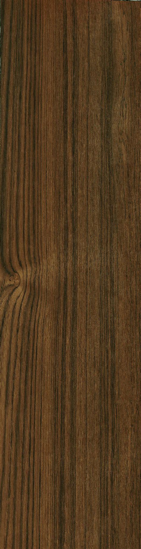 Teak The Wood Database Lumber Identification Hardwood