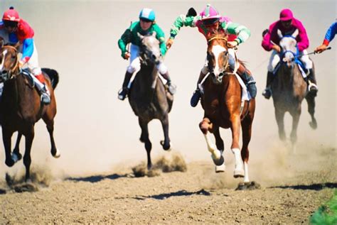 What Are The Different Types Of Bets In Horse Racing