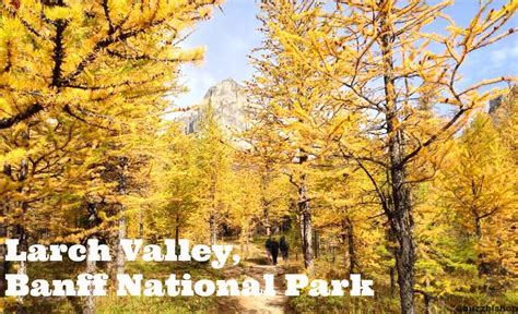 Larch Valley And 8 Other Hikes To See Fall Larches In The
