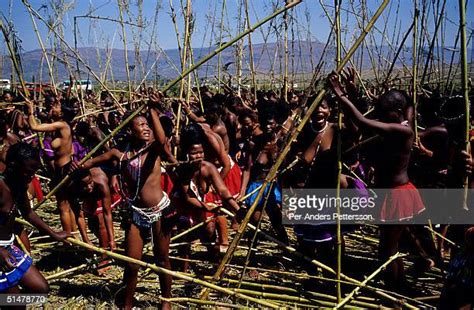 Thousands Of Zulu Maidens Gather For Annual Reed Dance Photos Et Images