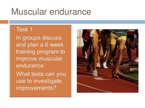 Long term effects of exercise on musculoskeletal system
