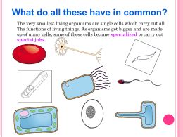 All cells on earth have genetic material (dna), a plasma membrane, cytoplasm (also known as cytosol), and ribosomes. Specialised Cells