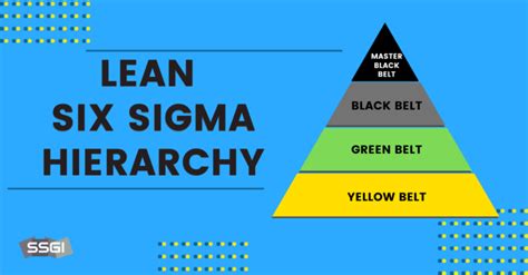 Lean Six Sigma The Definitive Guide 2024 Ssgi