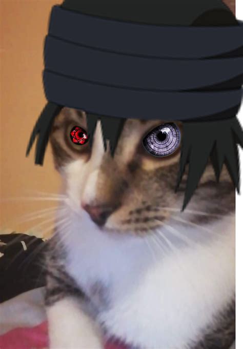 Inspiration from zoos so what's the solution? So i was bored and i downloaded an app and i made my cat a ...